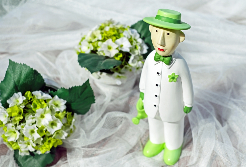 ecommerce-CABASSE-min_man-person-flower-green-toy-fig-546529-pxhere.com